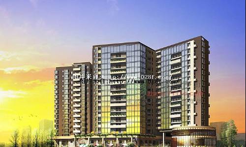 鑫盛白兰地-外观图