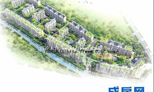 芙蓉花开-外观图