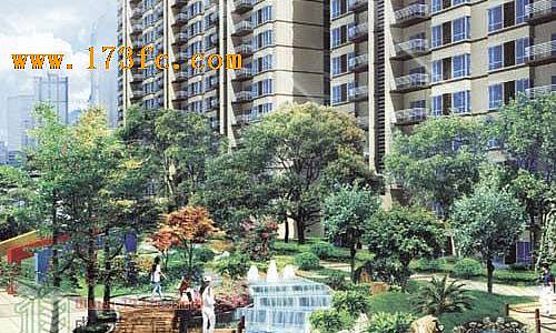 金都苑3期-外观图