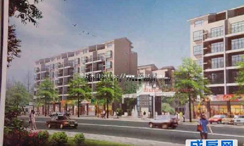 金丽花香-外观图