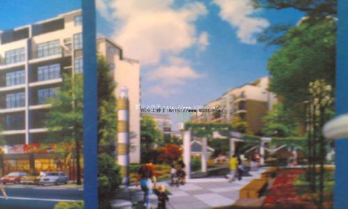 金丽花香-外观图