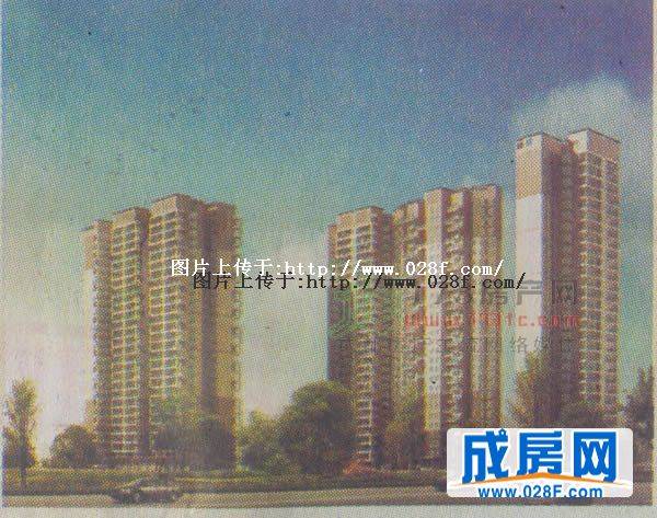 橙花风景-外观图