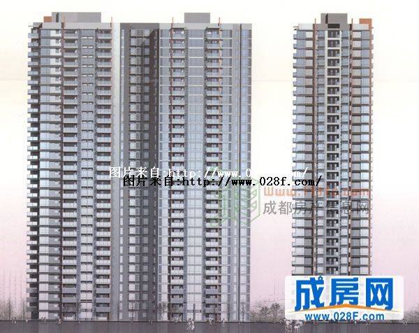 大陆紫云金沙-外观图