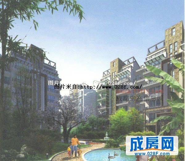 花样年华常青藤-外观图