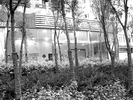 只花十块钱就能买新房 一开发商促销出怪招