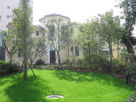 萨尔茨堡2期精品房源热销中