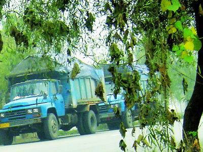  黑沙 织起利益网 偷梁换柱豆腐渣房可能要垮