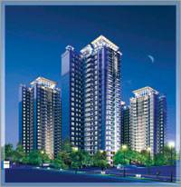 仁和世代春天 一种生活历练完美