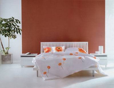 卧室里也要讲究风水 四点不宜之处要禁忌 图 ,资讯网址:www.028f.com/nei/news11_10211.html 卧室里也要讲究风水 四点不宜之处要禁忌 图