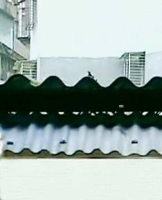 家中有 风水煞气 吗 自检一下十招破解