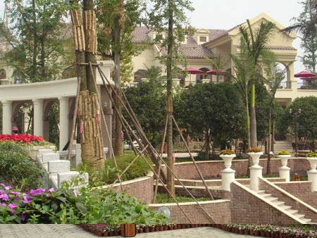 珍稀岛居别墅香颂岛盛大开盘