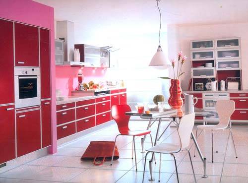 巧主妇爱上柔艳烹调空间 下厨也成一种享受