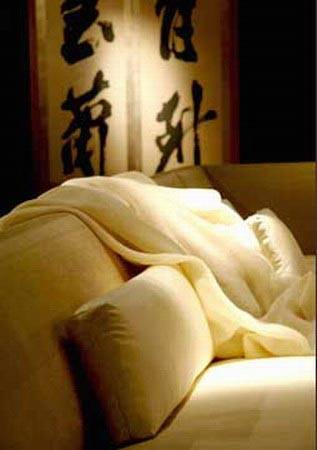 东方风情 清新自然简约禅意的日式家居