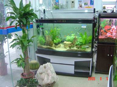 10件常用住宅风水化煞工具