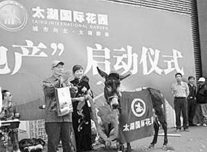 楼盘广告促销送毛驴宝马 网友称该送老婆 图 