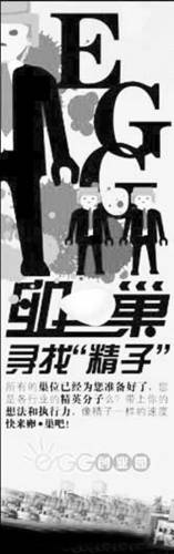 楼盘广告促销送毛驴宝马 网友称该送老婆 图 