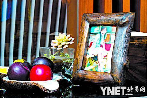 陈好家随心动 家是童话般的自在和梦想