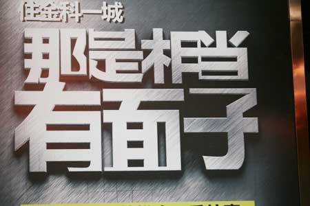 成都房交会 首房 主题日 购房者仍最看重房价
