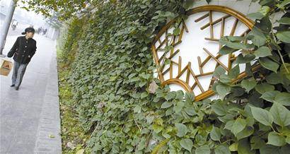  破墙透绿 工程已开启 成都小街巷要 变脸 