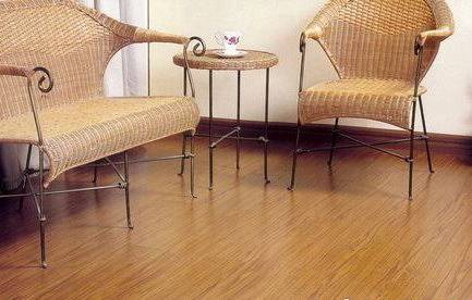 2011年木地板流行色调 三种浅色系新古典风格