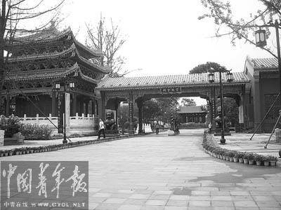 成都万亩良田变成别墅 占田荒废令人触目惊心