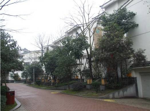 满堂红与 倾城莲花 别墅项目合作拉开帷幕