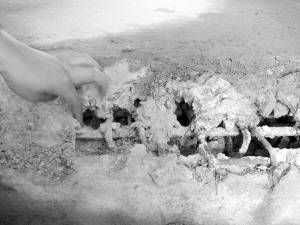 野蛮装修砸出大秘密 承重梁竟是 马蜂窝 