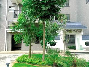 楼下规划建公厕 律师称不能判定是开发商责任,资讯网址:www.028f.com/nei/news25_55066.html 楼下规划建公厕 律师称不能判定是开发商责任