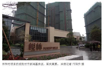 受制限售 新鸿基峻林项目入市遇挫