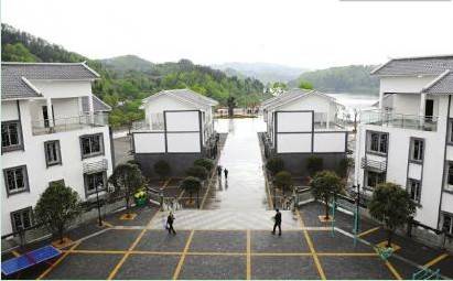 乱搭乱建农房 变身联排别墅