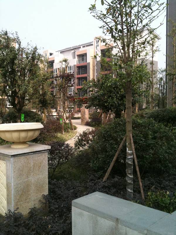 3900元 平米 买海宁皮革城对面绝版多层洋房