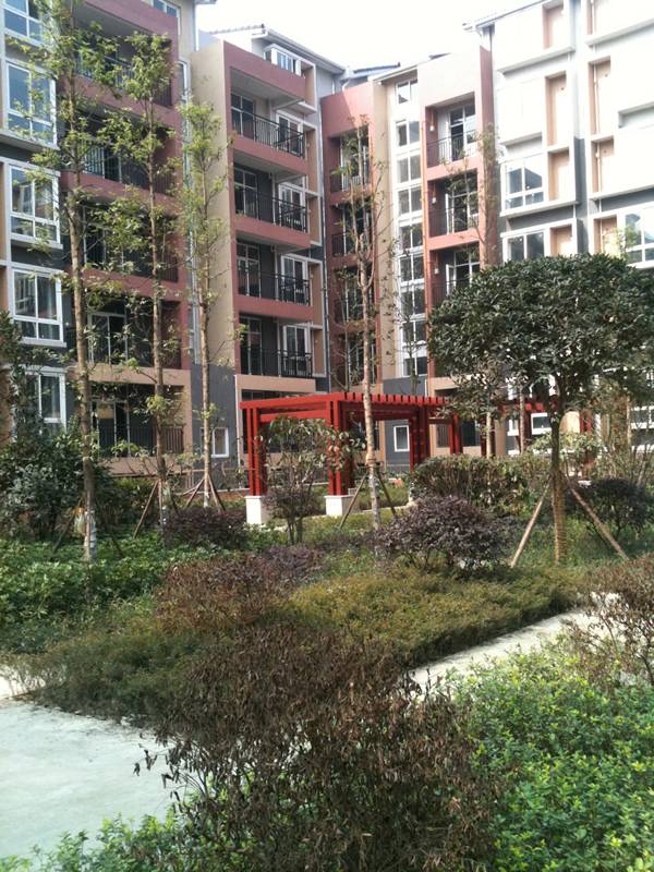 3900元 平米 买海宁皮革城对面绝版多层洋房