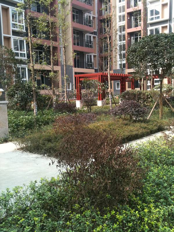 3900元 平米 买海宁皮革城对面绝版多层洋房