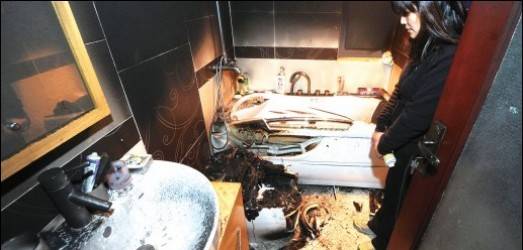 智能马桶起火粉尘落满屋 房东不出面厂商不愿赔偿