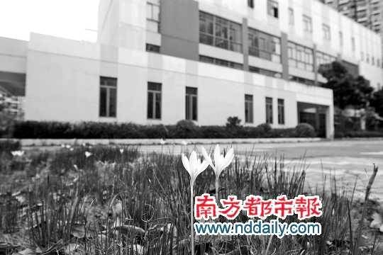 小区幼儿园被开发商私自抵押 