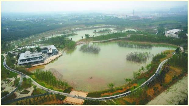 白鹭湾大隐隐于市