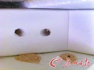 顾客购8万元家具半年即现蛀虫 商家称休想退款,资讯网址:www.028f.com/nei/news5_96272.html 顾客购8万元家具半年即现蛀虫 商家称休想退款