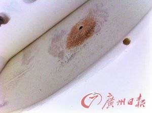 顾客购8万元家具半年即现蛀虫 商家称休想退款,资讯网址:www.028f.com/nei/news5_96272.html 顾客购8万元家具半年即现蛀虫 商家称休想退款