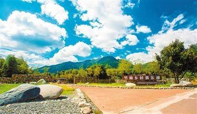 成都今年将建3个新农村绿色家园花重锦官特色村