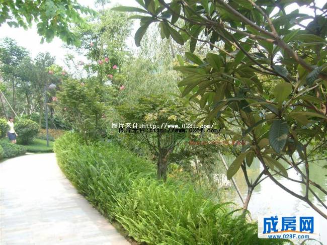 东骏湖景湾小区环境,点击放大