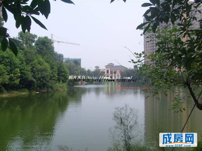 东骏湖景湾小区环境,点击放大