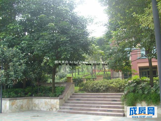 东骏湖景湾小区环境,点击放大