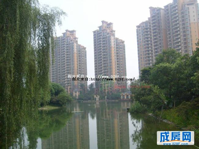 东骏湖景湾小区环境,点击放大