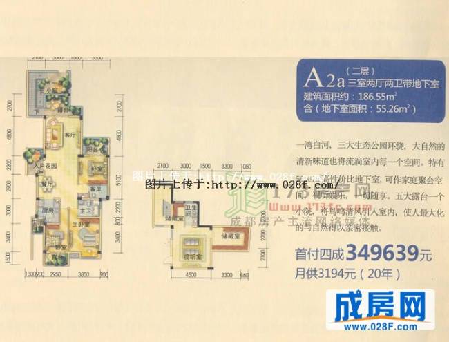 棠湖泊林镇户型图,点击放大