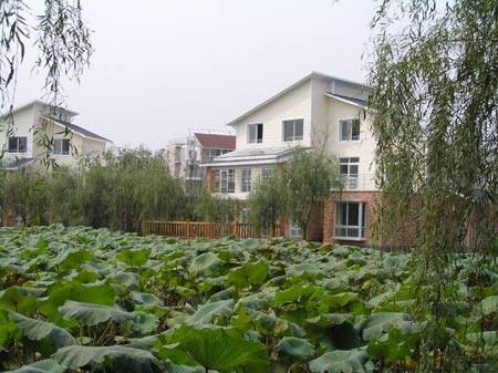 锦宏·鹰冠庄园小区环境,点击放大