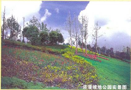 蓝光·诺丁山2期小区环境,点击放大