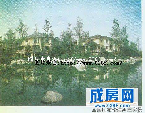 迎宾大道1号小区环境,点击放大