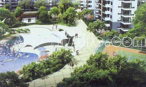 世纪朝阳小区环境,点击放大