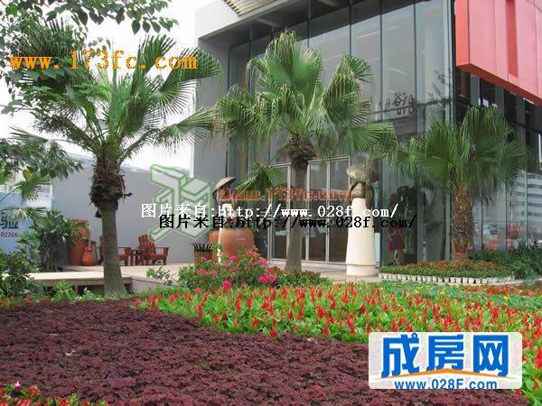 万科·加州湾小区环境,点击放大