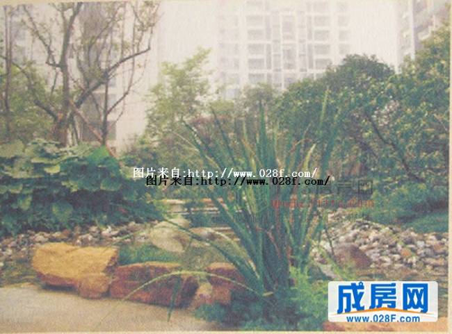 优品尚东三期小区环境,点击放大